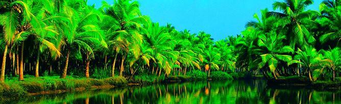 Hotel Chaandhni Lake View Alappuzha Exterior foto